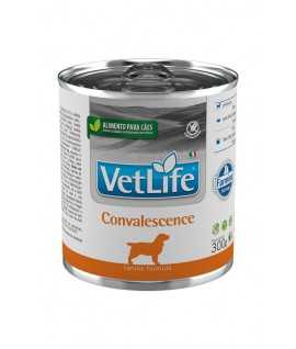 Vet Life WF Dog Convalescence
