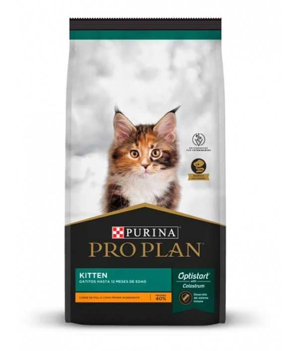 Pro Plan Kitten