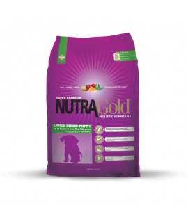 Nutra Gold Puppy Large Breed
