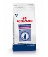 Royal Canin Young Male