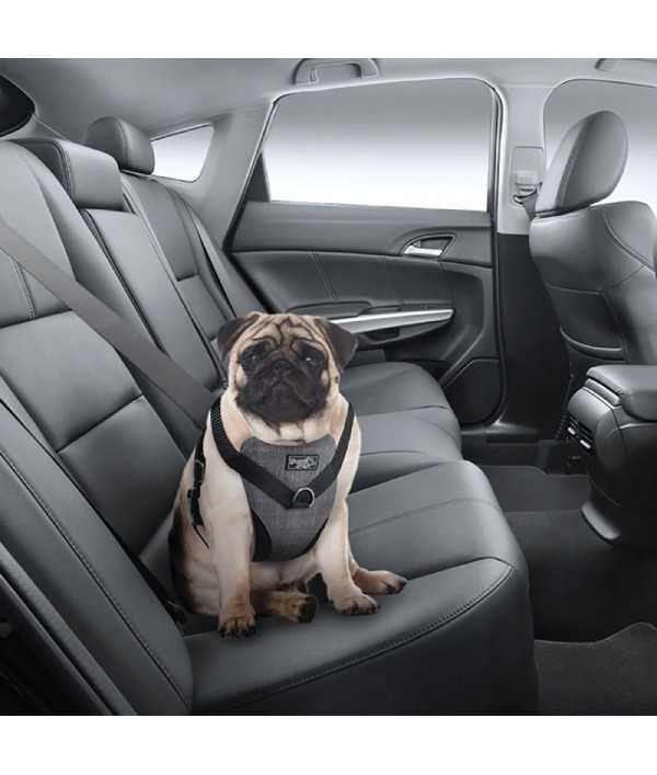 Afp Travel Dog Arnes Seguridad Auto