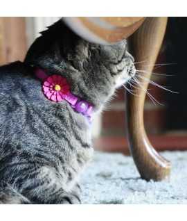 Coastal Embellished Collar Cat Flower Pink